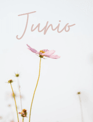 Calendario Junio 2026